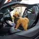 Image for article titled A Winter Road Trip In A McLaren Is The Best Way To Make Yourself And Others Happy